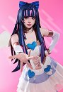 パンティ＆ストッキングwithガーターベルト ストッキング キャップウィッグ コスプレ 道具