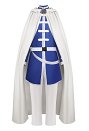 葬送のフリーレン ヒンメル コスプレ 衣装