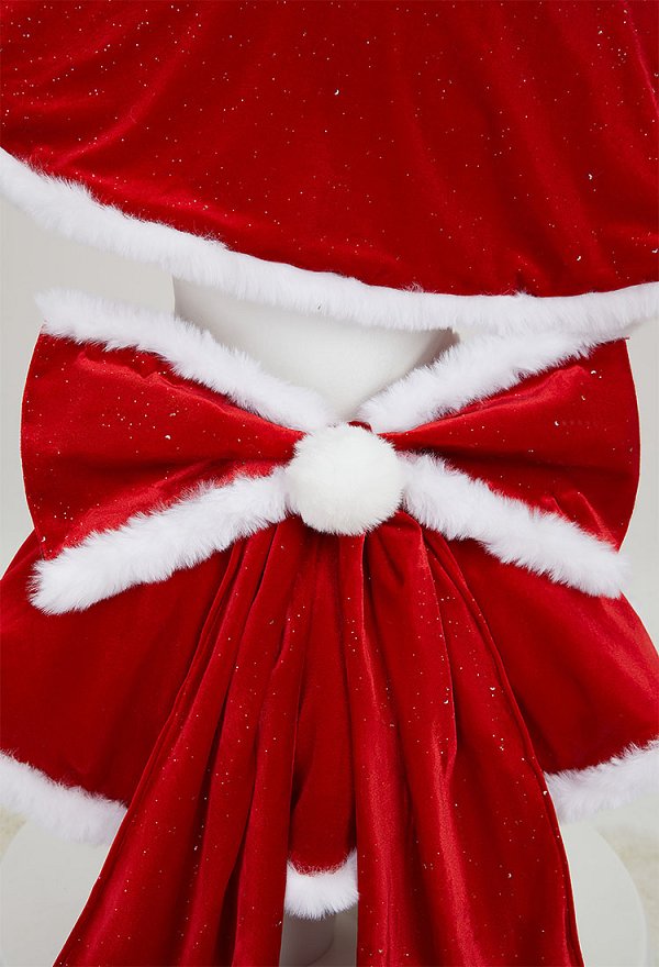 セーラームーン 火野レイ 同人 コスプレ クリスマス服