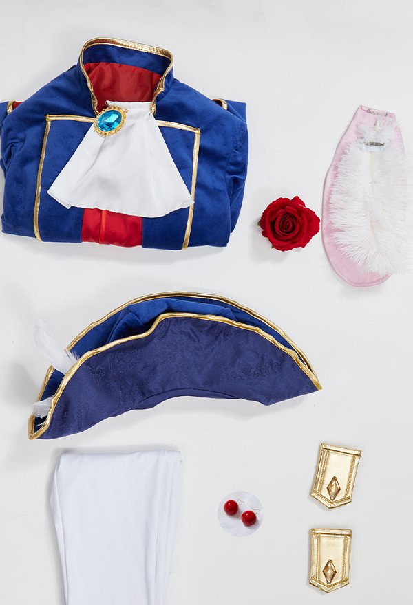 マリオ 剣士 ピーチ姫 コスプレ 騎士 衣装