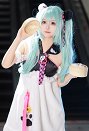 パンダ・初音ミク 中国グルメ・サマー コスプレ 衣装