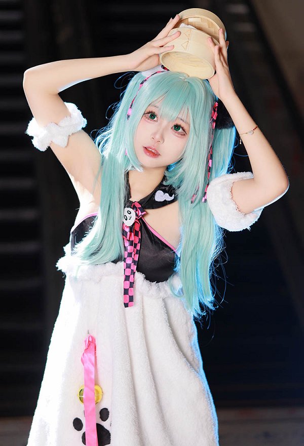 パンダ・初音ミク 中国グルメ・サマー コスプレ 衣装 パンダ・初音ミク 中国グルメ・サマー コスプレ 衣装