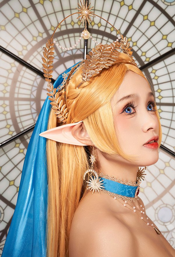 ゼルダ姫 同人 花嫁