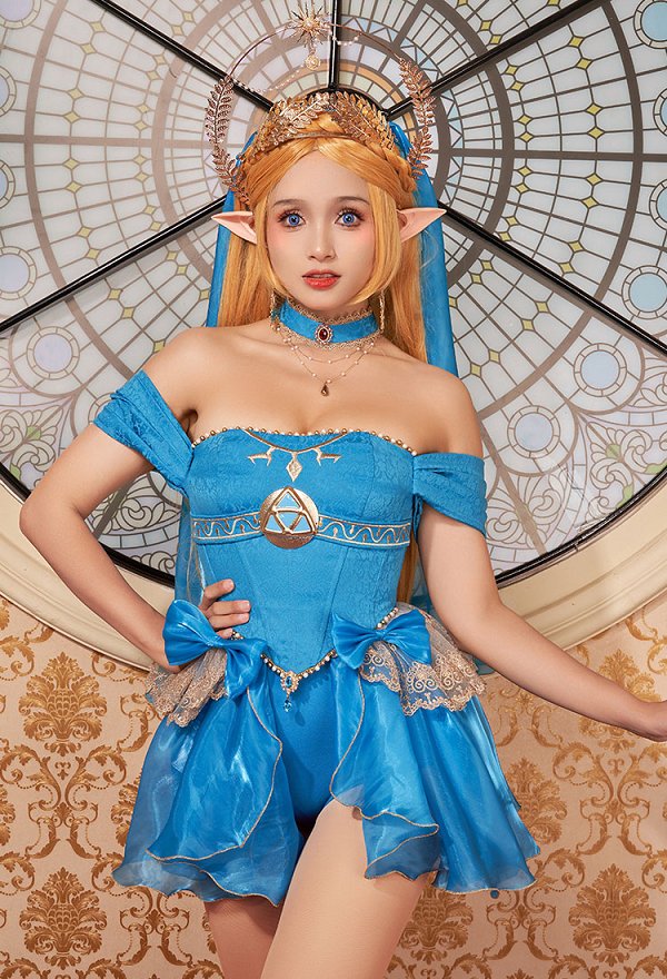 ゼルダ姫 同人 花嫁