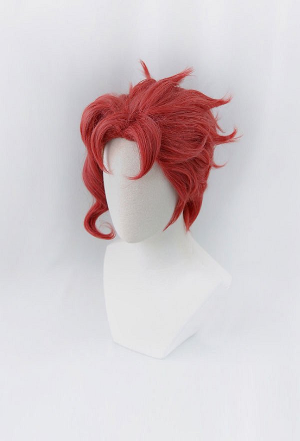 ジョジョの奇妙な冒険 花京院典明 コスプレ ウィッグ かつら