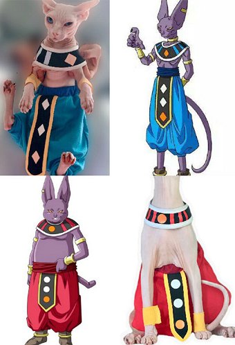 スフィンクス猫用ビルス派生猫コスチュームペット服