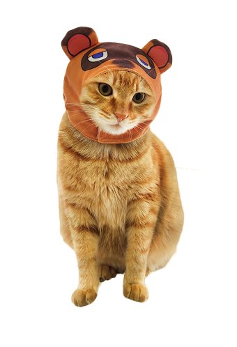 どうぶつの森 たぬきち コスプレ道具 猫小型犬用帽子