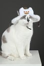 ペット用品 モンスターハンターワイルズ アイルー コスプレ 帽子
