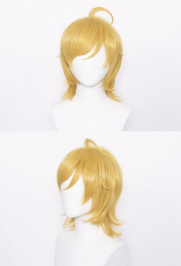 コスプレ ウィッグ 多色 コスプレ ウィッグ 多色