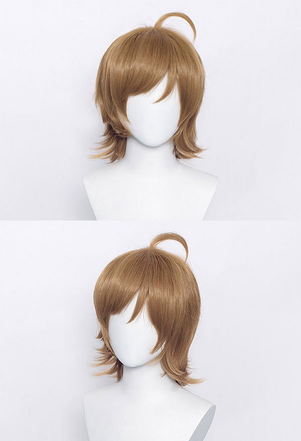 コスプレ ウィッグ 多色 コスプレ ウィッグ 多色
