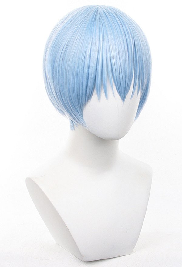 葬送のフリーレン ヒンメル コスプレ ウィッグ