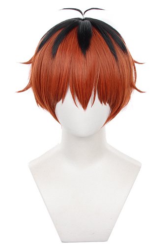葬送のフリーレン シュタルク コスプレ ウィッグ
